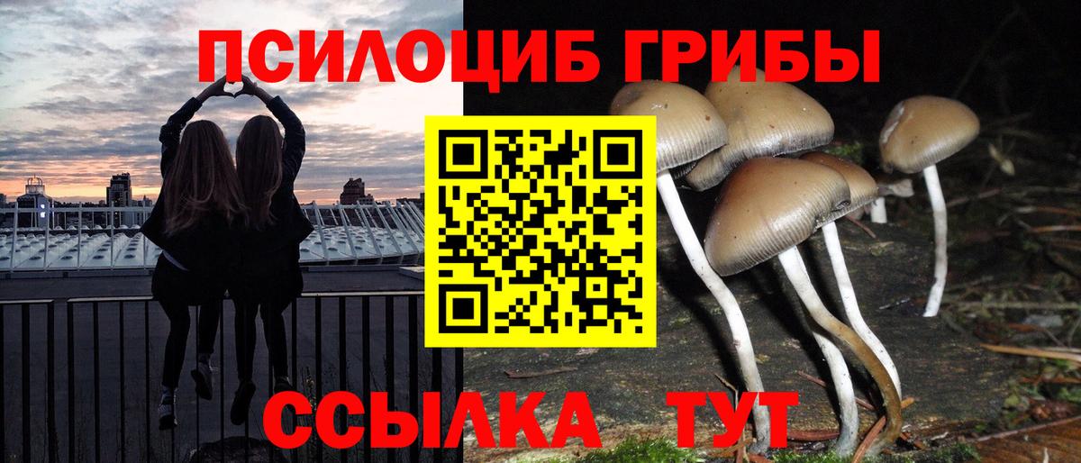 Ессентуки  Галлюциногенные грибы Magic Shrooms  Вход с VPN 