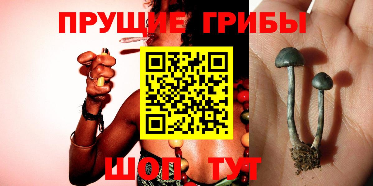 Галлюциногенные грибы мухоморы Ессентуки