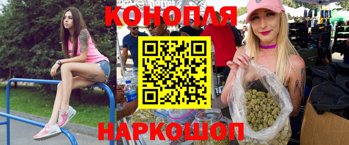 Каннабис конопля Ессентуки
